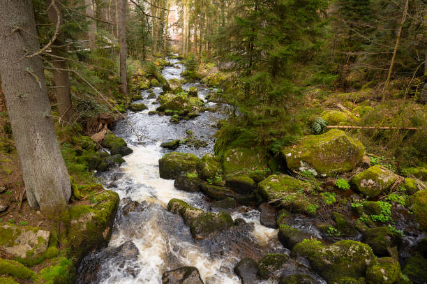 Triberg waterfall in the Black Forest, highest fall in Germany, Gutach river plunges over seven major steps into the valley, wooden bridge