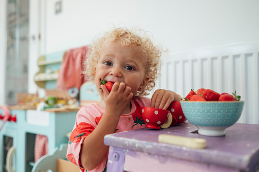 Close up front waist up view of a young female toddler eating strawberries using her hands while sitting at a table in the kitchen in North Eastern England. She is a messy eater and has food on her hands and face.\n\nVideos are also available for this scenario.