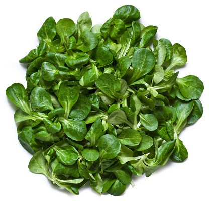 Corn salad (Soncino) Valerianella locusta, Isolated on White Background – Close-Up Macro, Top View, Macro Close Up