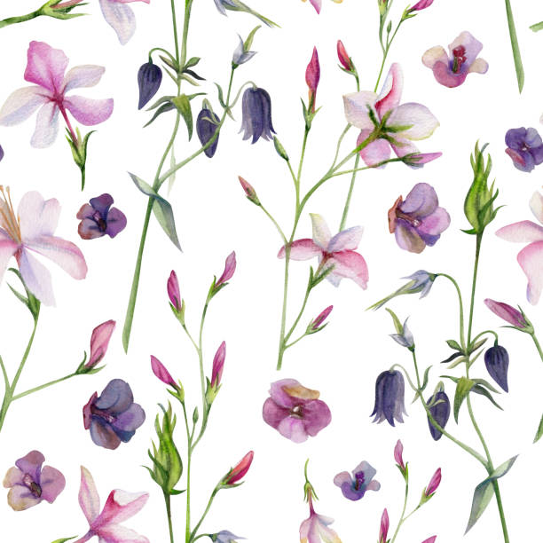 istock Hand drawn watercolor illustration shabby boho botanical leaves. Pink lobelia jasmine orange flower impatiens. Seamless pattern isolated on white background. Design wedding, love cards, gift paper 2137520731