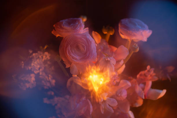 spring flowers close up  in color light