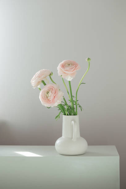 istock spring flowers in vase in white modern interior 2137527154