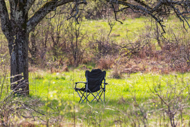 istock Landscape with a huge old tree and a tourist chair 2137534494