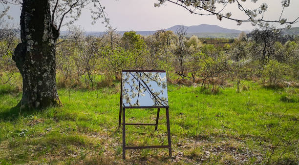 istock Landscape with a huge flowering tree and a mirror on an easel 2137546159