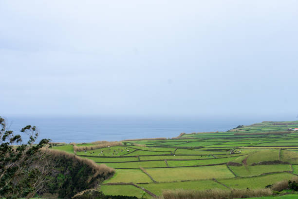 Traditional Azorean green fields bordered by stone walls, overlooking the Atlantic Ocean.