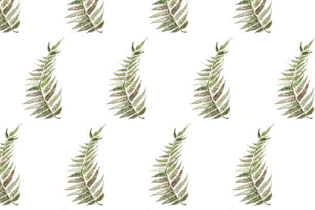 istock Seamless summer pattern with an image of a green fern leaf 2137588894