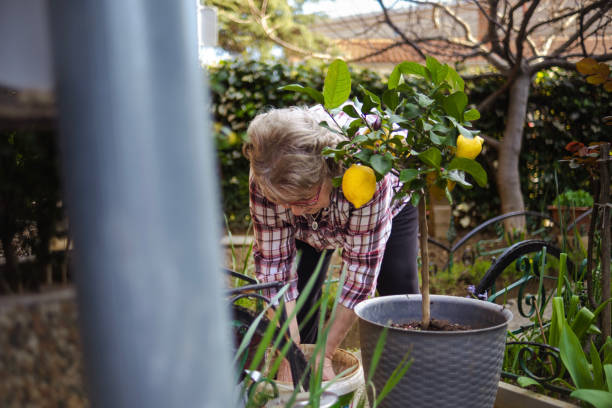 istock Happy Arbor day with this active senior lady 2137590066