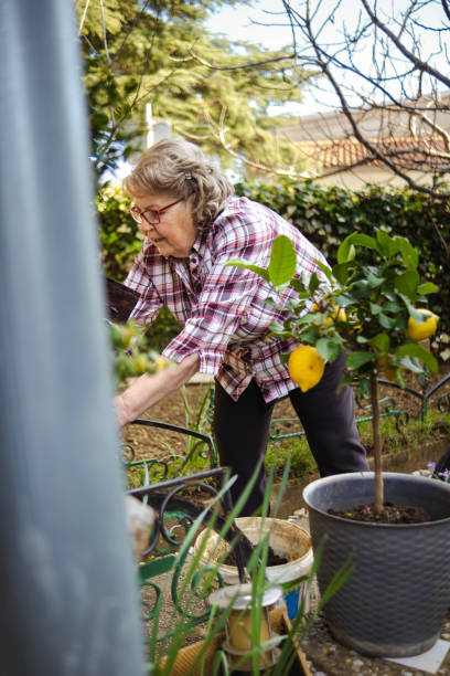 istock Happy Arbor day with this active senior lady 2137590078
