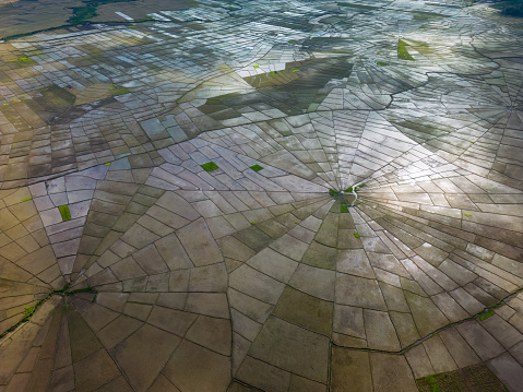 An aerial view of spider web-shaped rice terraces in Flores, Indonesia.