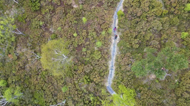 Forest path leading up to Stolanuten hill top in Nedstrand, Norway, 4K drone.