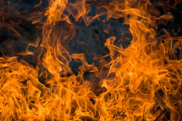 Big flames. Fire. Dry vegetation in flames.