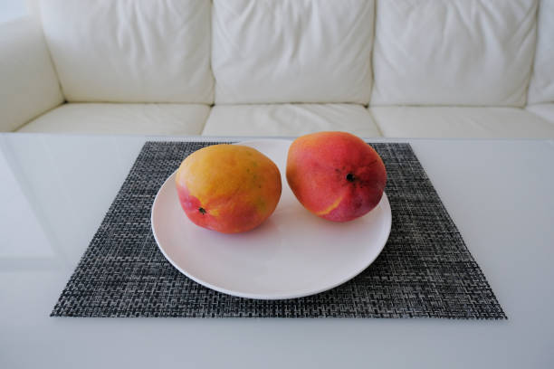 two mangoes on a plate. ripe mango fruit on a white plate. two whole mangoes ready to eat