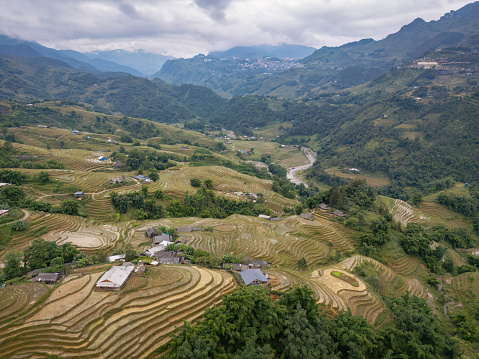 An aerial perspective of the iconic Sa Pa rice terraces in Vietnam.