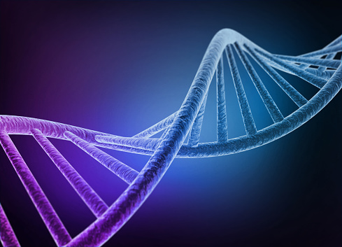 This high-resolution image captures a detailed close-up of a DNA double helix structure. The DNA strands are intricately intertwined, with the characteristic double helix shape clearly visible. The image features a blue background that accentuates the white and light blue tones of the DNA model. The focus on the DNA structure provides a sense of depth and scientific precision. This image is perfect for use in educational materials, scientific publications, or any content related to genetics, biology, or medical research.
