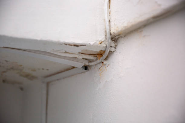 istock Demeaned electrical cables on white wall, close up 2137628670