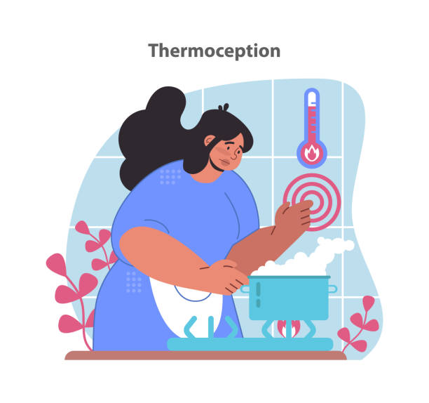 illustrations, cliparts, dessins animés et icônes de illustration de la thermoception. une femme qui s’engage avec la température. - scientific imaging technique illustrations