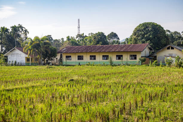 Bukit Lawang, Sumatra, Indonesia - January 21th 2024:  Farm building surrounded by coconut palm trees and with a rice field in the front