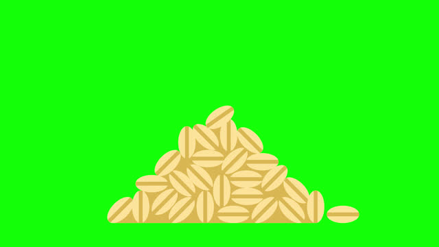 A pile of grain. Golden Wheat. Food warehouse. Food store. Cereals. Grains plants and cereal, rye barley and wheat ear. Food package design template, food. 2d flat animation. Alpha channel. Chroma key
