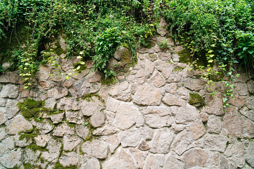 Stone wall partially covered with moss and plants