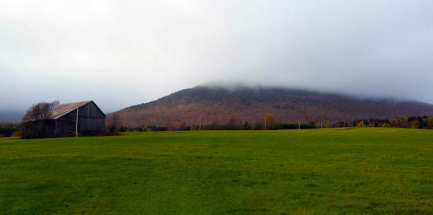 istock Barn in front of a misty mountain in a field. 2137714428