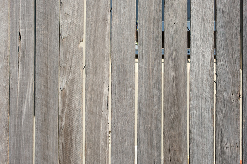 Section of a plain gray wooden fence.
