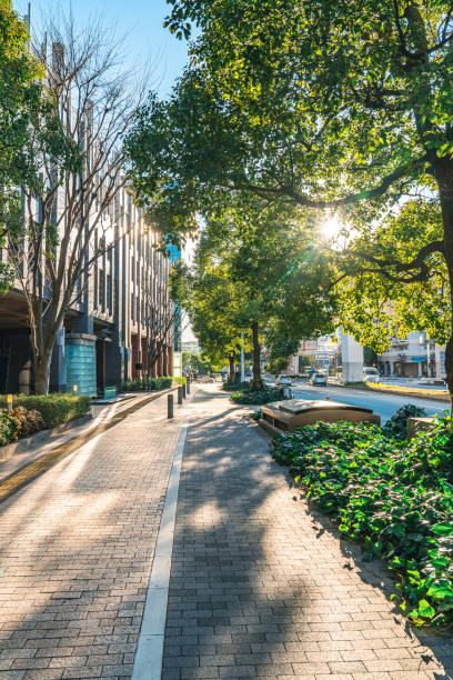 istock Modern buildings in downtown of Tokyo on view from empty footpath 2137740927