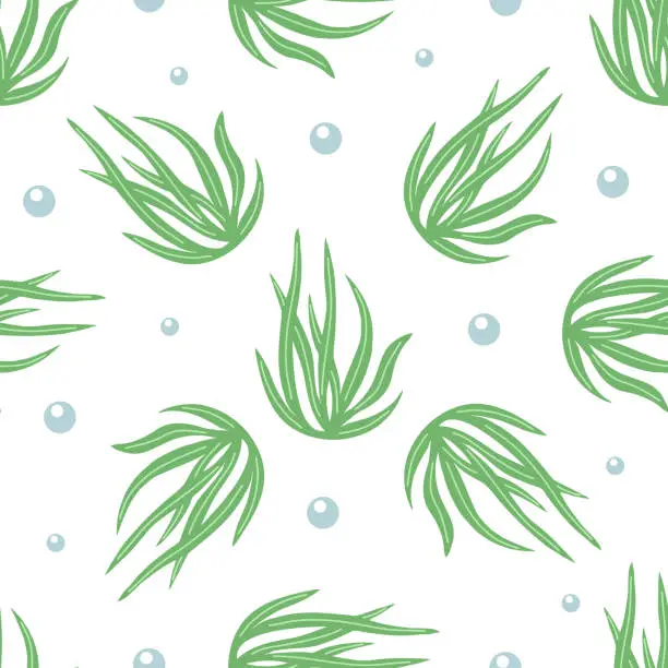 Vector illustration of Hand-drawn colored underwater sea weed seamless pattern, laminaria spirulina seaweed in flat style. Water element. Ocean vector illustration. Sea collection.