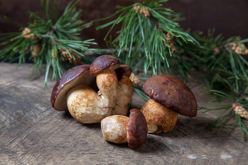 a fresh side of tarragon mushrooms