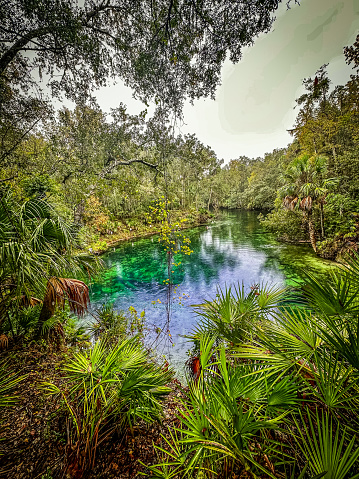 Blue Springs State Park in late November on the last day of the 2023 swim season before closing as a manatee sanctuary for winter, Volusia County, Florida