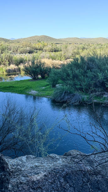istock Salt River at Tonto National Forest 2137927784