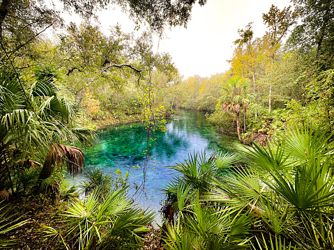 Blue Springs State Park in late November on the last day of the 2023 swim season before closing as a manatee sanctuary for winter, Volusia County, Florida