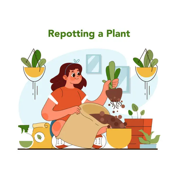 Vector illustration of Plant repotting concept. Flat vector illustration