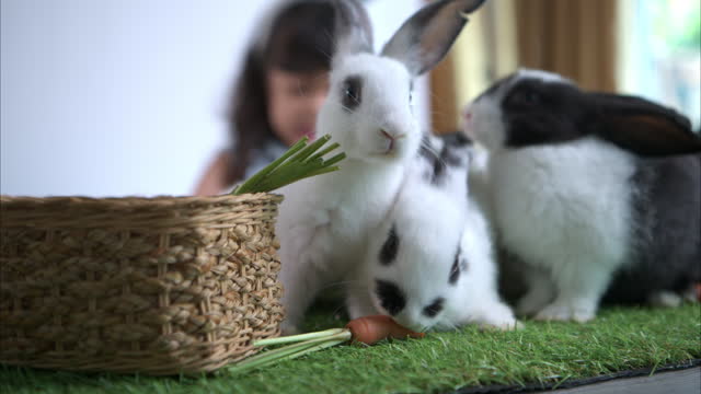 Easter bunny fun with little children the beauty of friendship between humans and animals