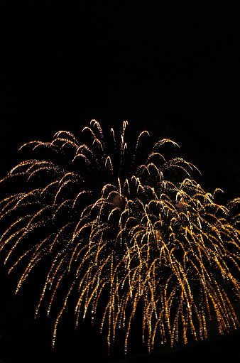 A golden willow firework under the black sky