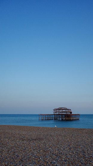 Brighton west pier frame under the blue sky with a pebble beach and a seagull standing on the beach.
