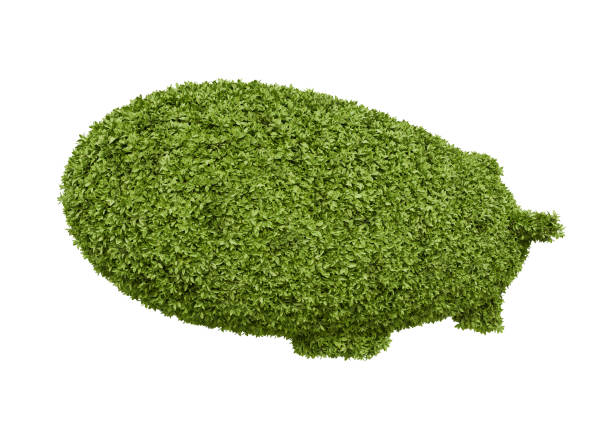green leaves leaf airship blimp zeppelin or dirigible balloon isolated on white background. airship, blimp , zeppelin, dirigible balloon 3d element isolated.