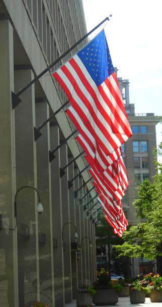 istock Row of American Flags 2138059554