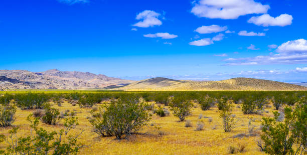 Desert landscape along the road through Lucerne Valley to Barstow, California
