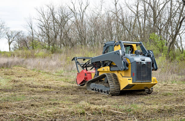 istock Forestry Mulcher Clearing Weeds, Rear View 2138121914