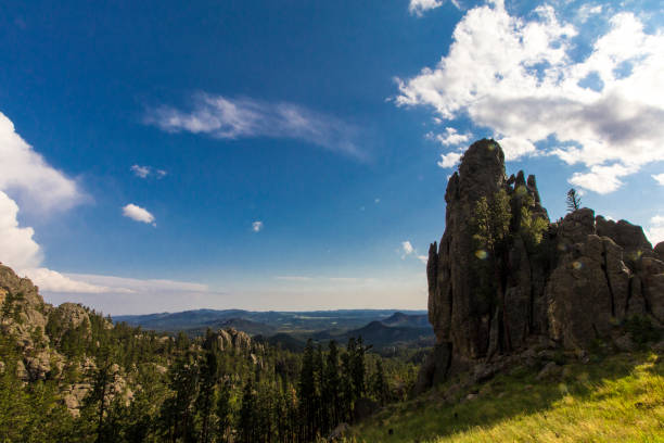 istock View from the Needles Highway in Summer, South Dakota 2138146152