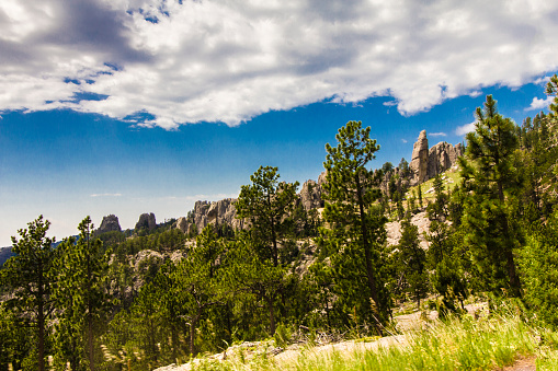 View from the Needles Highway in Summer, Custer State Park, South Dakota