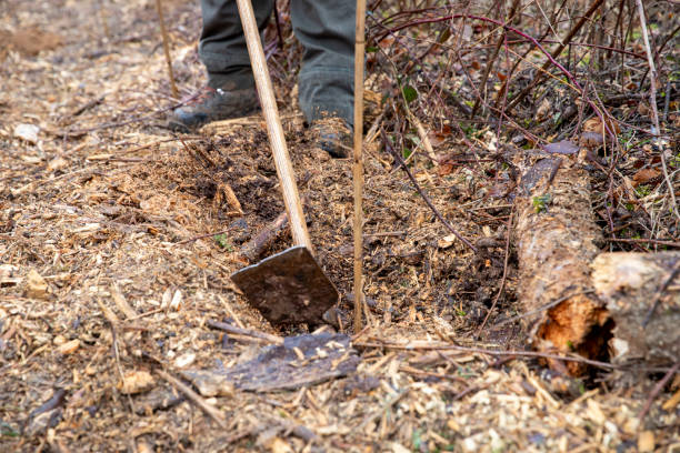 istock Child and adult planting small trees 2138183626