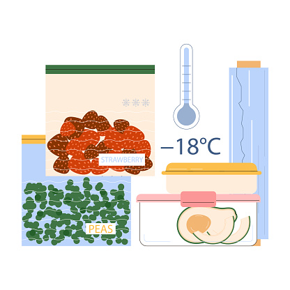 Leftovers. Sustainable cooking, repurpose nextovers to reduce food waste. Food freezing. Preservation of fruits and vegetables in a freezer. Sustainable solution. Flat vector illustration.