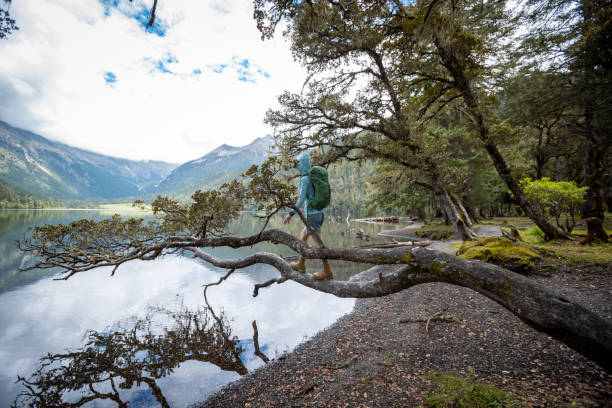 istock Hiking woman on a one plank bridge in high altitude mountains 2138206105