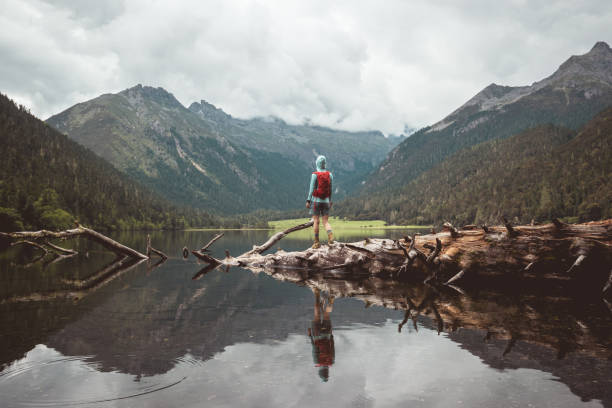 istock Woman hiker hiking in forest 2138216013