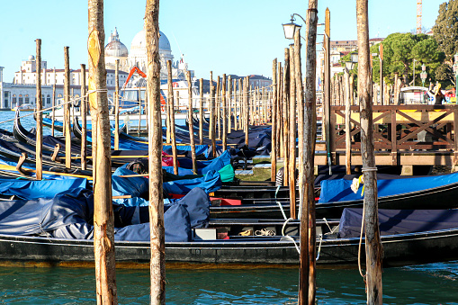 Line of many Venetian gondolas moored or docked by wooden poles besides St Marks Square - Venice, Italy