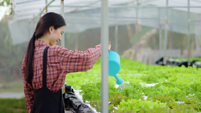 Happy young asian woman farmer watering can organic vegetables on agriculture farm field in greenhouse garden, farming and growing organic vegetables and plants, Agriculture business, healthy food