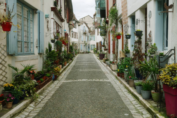 istock Street with flowers 2138281413