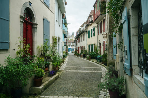 istock Street with flowers 2138288302