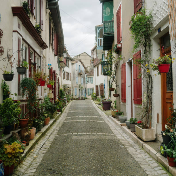 A village street beautifully decorated with flowers. Salies de Bearn (64), France.